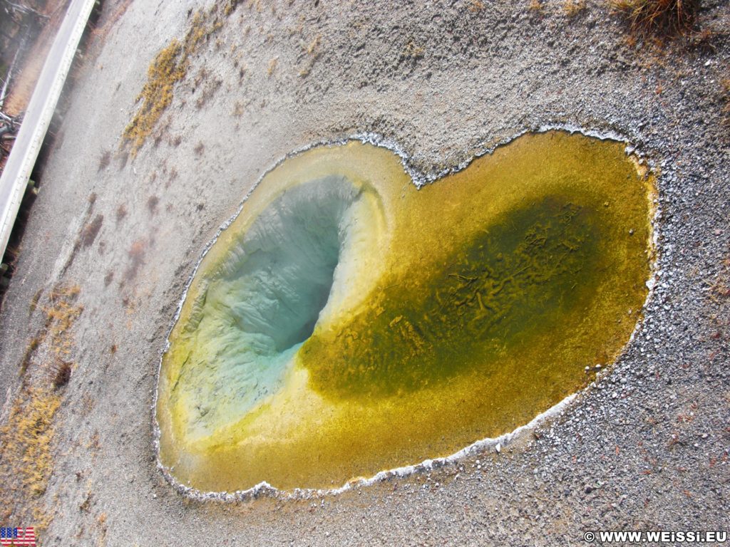 Yellowstone-Nationalpark. Belgian Pool in der Old Faithful Area - Upper Geyser Basin South Section. - Old Faithful Area, Upper Geyser Basin South Section, Belgian Pool - (Three River Junction, Yellowstone National Park, Wyoming, Vereinigte Staaten)