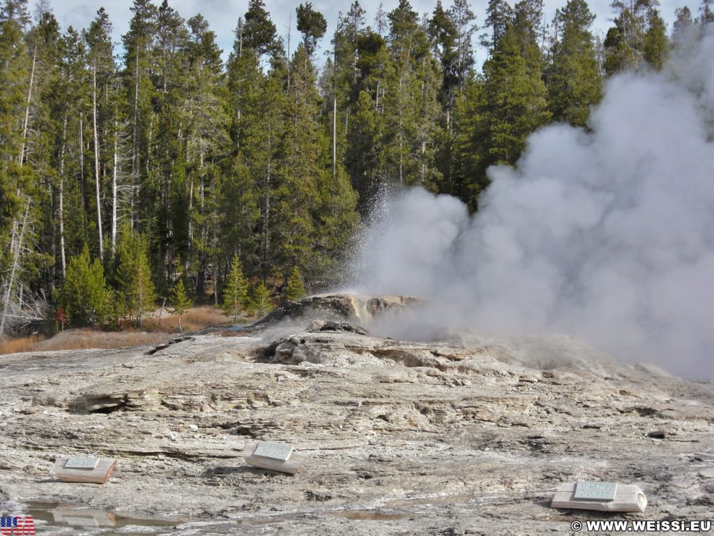 Yellowstone-Nationalpark. Bijou, Catfish und Mastiff Geyser in der Old Faithful Area - Upper Geyser Basin North Section. - Old Faithful Area, Upper Geyser Basin North Section, Bijou, Catfish und Mastiff Geyser - (Three River Junction, Yellowstone National Park, Wyoming, Vereinigte Staaten)