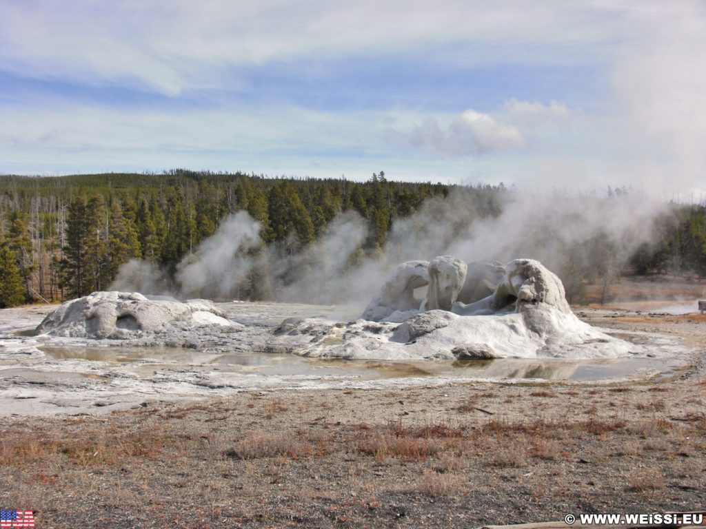 Yellowstone-Nationalpark. Grotto Geyser in der Old Faithful Area - Upper Geyser Basin North Section. - Old Faithful Area, Upper Geyser Basin North Section, Grotto Geyser - (Three River Junction, Yellowstone National Park, Wyoming, Vereinigte Staaten)