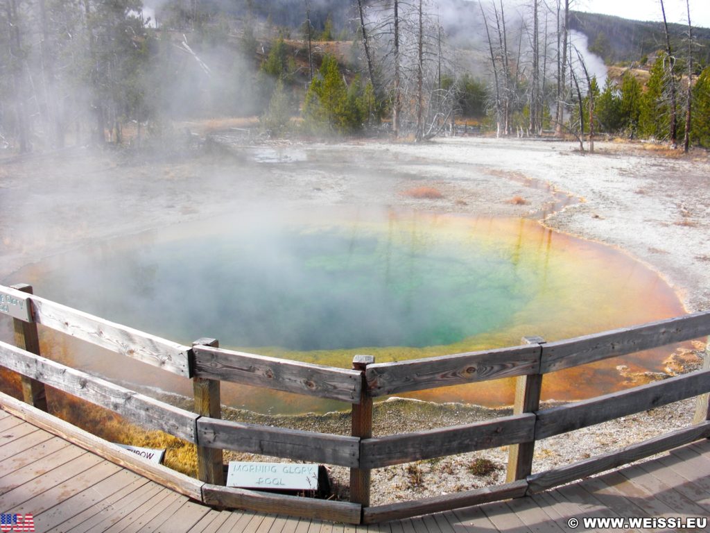 Yellowstone-Nationalpark. Morning Glory Pool in der Old Faithful Area - Upper Geyser Basin North Section. - Old Faithful Area, Upper Geyser Basin North Section, Morning Glory Pool - (Three River Junction, Yellowstone National Park, Wyoming, Vereinigte Staaten)