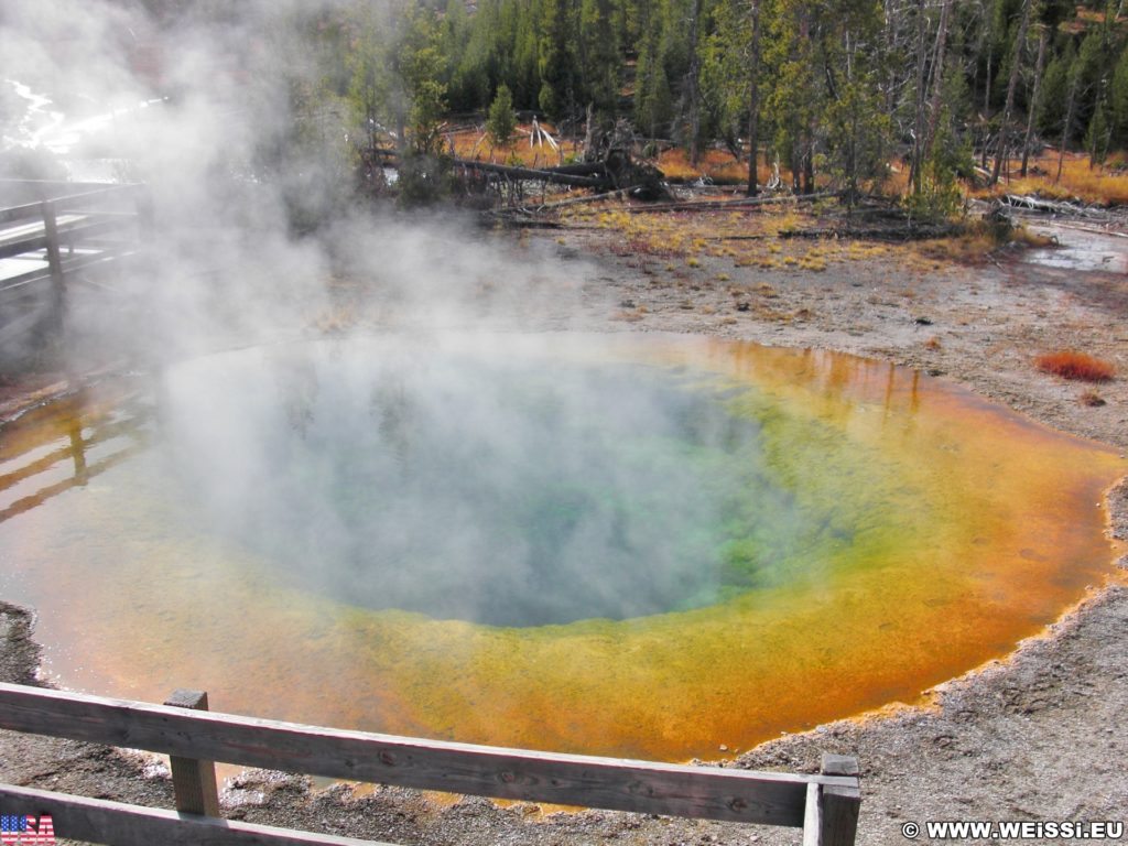 Yellowstone-Nationalpark. Morning Glory Pool in der Old Faithful Area - Upper Geyser Basin North Section. - Old Faithful Area, Upper Geyser Basin North Section, Morning Glory Pool - (Three River Junction, Yellowstone National Park, Wyoming, Vereinigte Staaten)