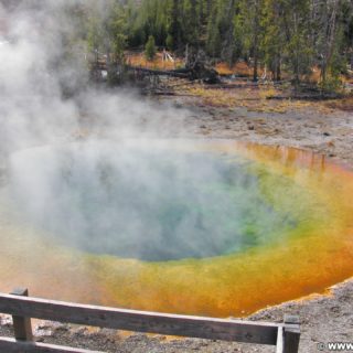 Yellowstone-Nationalpark. Morning Glory Pool in der Old Faithful Area - Upper Geyser Basin North Section. - Old Faithful Area, Upper Geyser Basin North Section, Morning Glory Pool - (Three River Junction, Yellowstone National Park, Wyoming, Vereinigte Staaten)