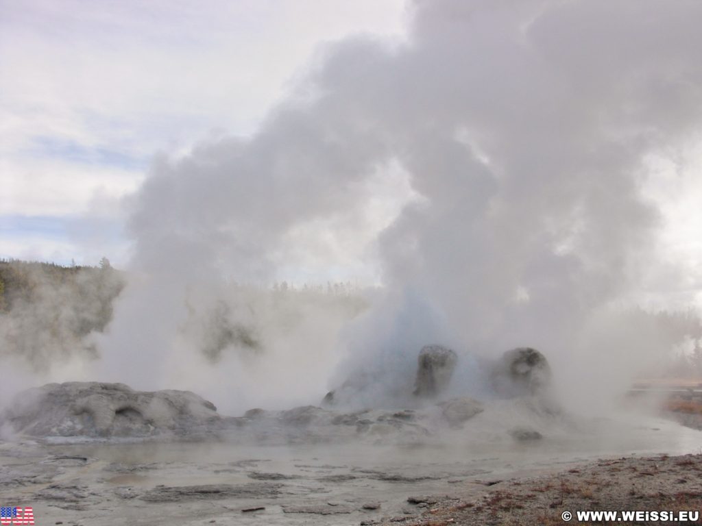 Yellowstone-Nationalpark. Grotto Geyser in der Old Faithful Area - Upper Geyser Basin North Section. - Old Faithful Area, Upper Geyser Basin North Section, Grotto Geyser - (Three River Junction, Yellowstone National Park, Wyoming, Vereinigte Staaten)