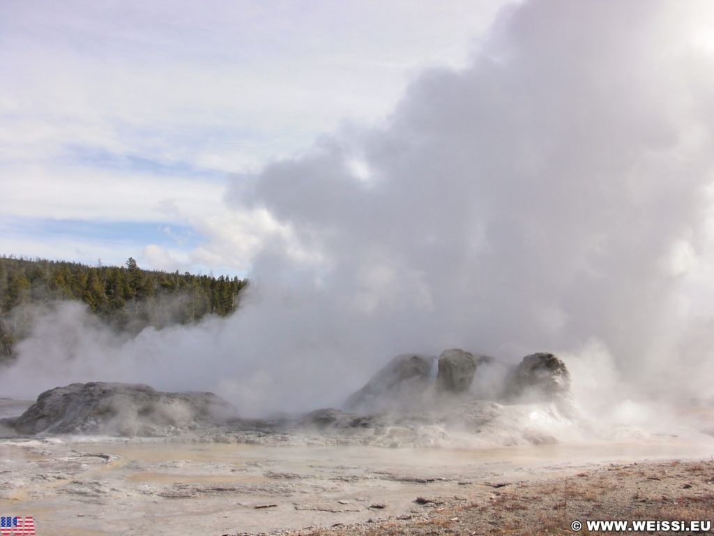 Yellowstone-Nationalpark. Grotto Geyser in der Old Faithful Area - Upper Geyser Basin North Section. - Old Faithful Area, Upper Geyser Basin North Section, Grotto Geyser - (Three River Junction, Yellowstone National Park, Wyoming, Vereinigte Staaten)