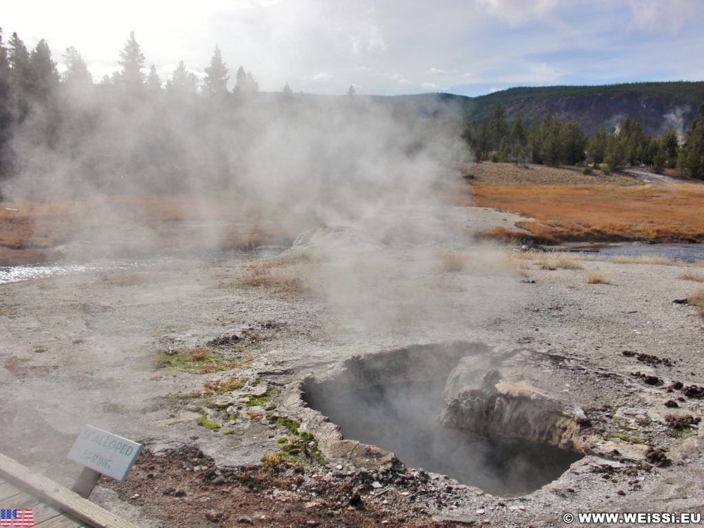 Yellowstone-Nationalpark. Scalloped Spring in der Old Faithful Area - Upper Geyser Basin South Section. - Old Faithful Area, Upper Geyser Basin South Section, Scalloped Spring - (Three River Junction, Yellowstone National Park, Wyoming, Vereinigte Staaten)