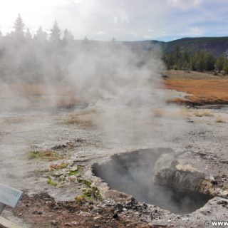 Yellowstone-Nationalpark. Scalloped Spring in der Old Faithful Area - Upper Geyser Basin South Section. - Old Faithful Area, Upper Geyser Basin South Section, Scalloped Spring - (Three River Junction, Yellowstone National Park, Wyoming, Vereinigte Staaten)