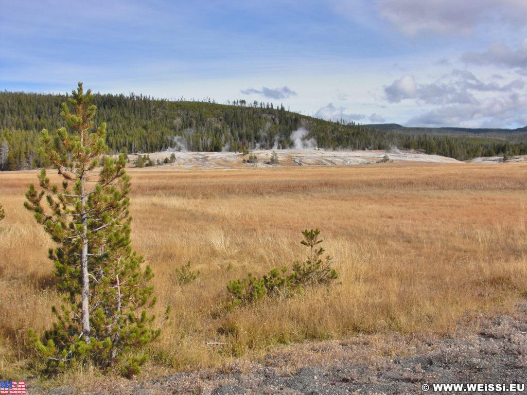 Yellowstone-Nationalpark. Geyser Hill vom Radweg in der Old Faithful Area - Upper Geyser Basin South Section. - Old Faithful Area, Upper Geyser Basin South Section, Geyser Hill - (Three River Junction, Yellowstone National Park, Wyoming, Vereinigte Staaten)