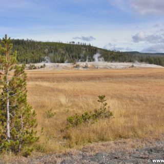 Yellowstone-Nationalpark. Geyser Hill vom Radweg in der Old Faithful Area - Upper Geyser Basin South Section. - Old Faithful Area, Upper Geyser Basin South Section, Geyser Hill - (Three River Junction, Yellowstone National Park, Wyoming, Vereinigte Staaten)