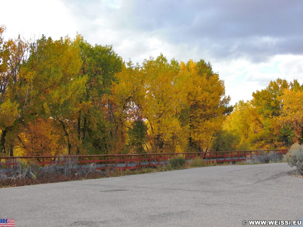 Steinaker State Park. Steinaker State Park im Herbst. - Bäume, State Park, Steinaker State Park, Blattverfärbung, Farben, Indian Summer, Naturschauspiel, Naturspektakel, Wälder - (Maeser, Vernal, Utah, Vereinigte Staaten)