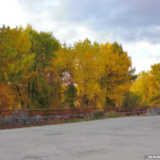 Steinaker State Park. Steinaker State Park im Herbst. - Bäume, State Park, Steinaker State Park, Blattverfärbung, Farben, Indian Summer, Naturschauspiel, Naturspektakel, Wälder - (Maeser, Vernal, Utah, Vereinigte Staaten)