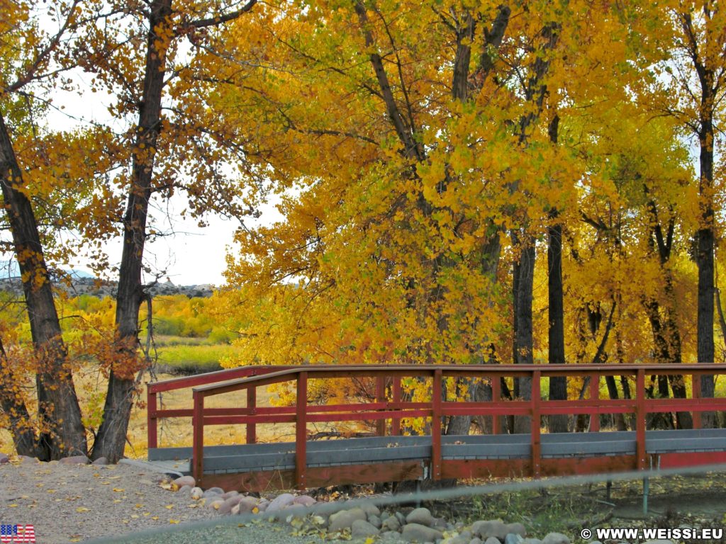 Steinaker State Park. Steinaker State Park im Herbst. - Bäume, State Park, Steinaker State Park, Blattverfärbung, Farben, Indian Summer, Naturschauspiel, Naturspektakel, Wälder - (Maeser, Vernal, Utah, Vereinigte Staaten)