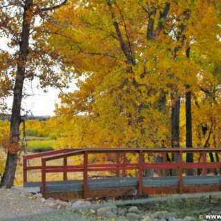 Steinaker State Park. Steinaker State Park im Herbst. - Bäume, State Park, Steinaker State Park, Blattverfärbung, Farben, Indian Summer, Naturschauspiel, Naturspektakel, Wälder - (Maeser, Vernal, Utah, Vereinigte Staaten)