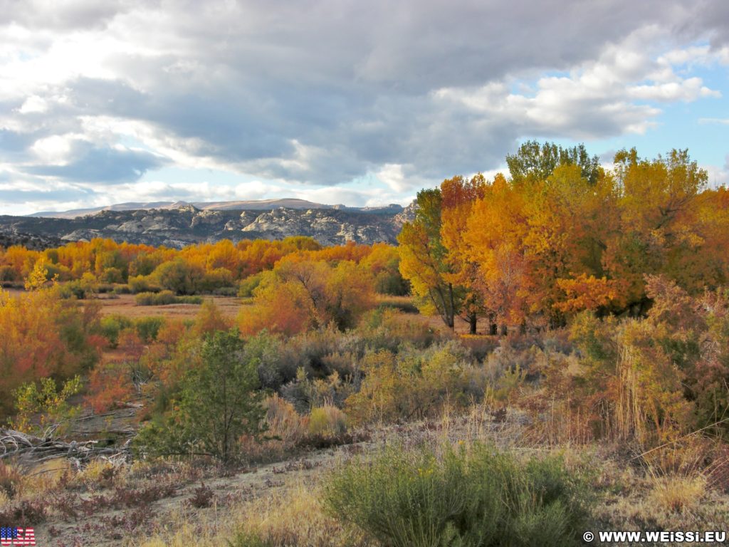 Steinaker State Park. Steinaker State Park im Herbst. - Bäume, State Park, Steinaker State Park, Blattverfärbung, Farben, Indian Summer, Naturschauspiel, Naturspektakel, Wälder - (Maeser, Vernal, Utah, Vereinigte Staaten)