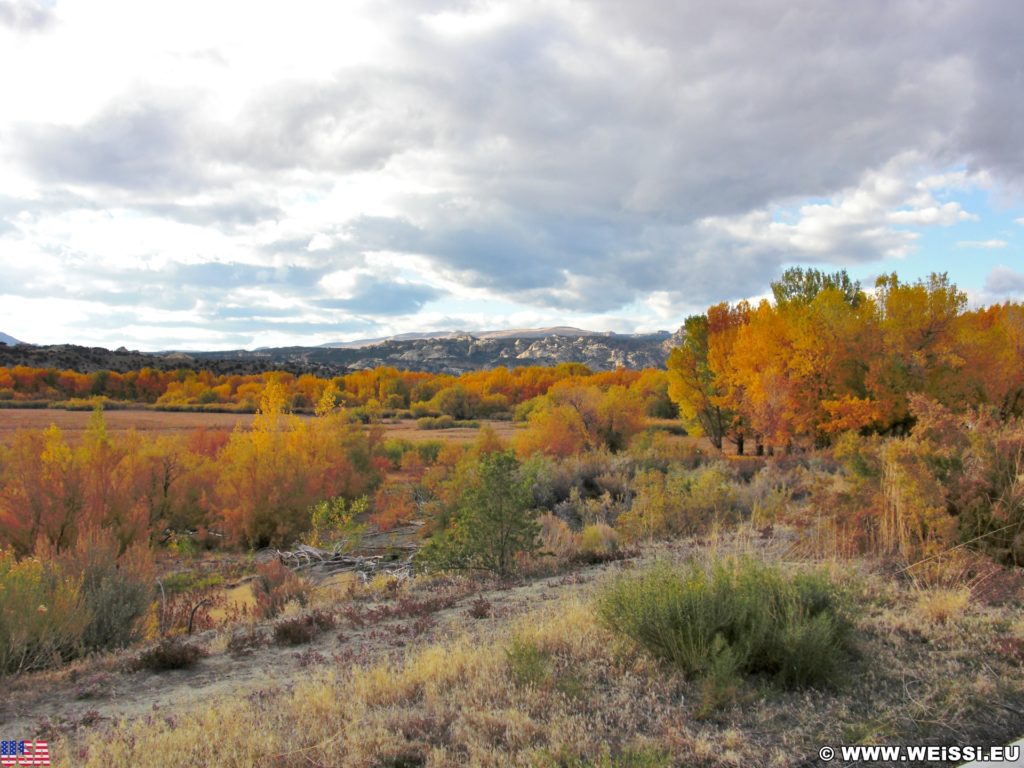 Steinaker State Park. Steinaker State Park im Herbst. - Bäume, State Park, Steinaker State Park, Blattverfärbung, Farben, Indian Summer, Naturschauspiel, Naturspektakel, Wälder - (Maeser, Vernal, Utah, Vereinigte Staaten)