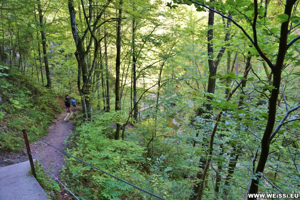 Ötschergräben - Lassingschlucht. Unweit vom Eingang in die Lassingschlucht überquert man eine kleine Brücke über den Lassingbach.. - Brücke, Bäume, Weg, Pfad, Ötschergräben, Lassingschlucht - (Wienerbruck, Langseitenrotte, Niederösterreich, Österreich)