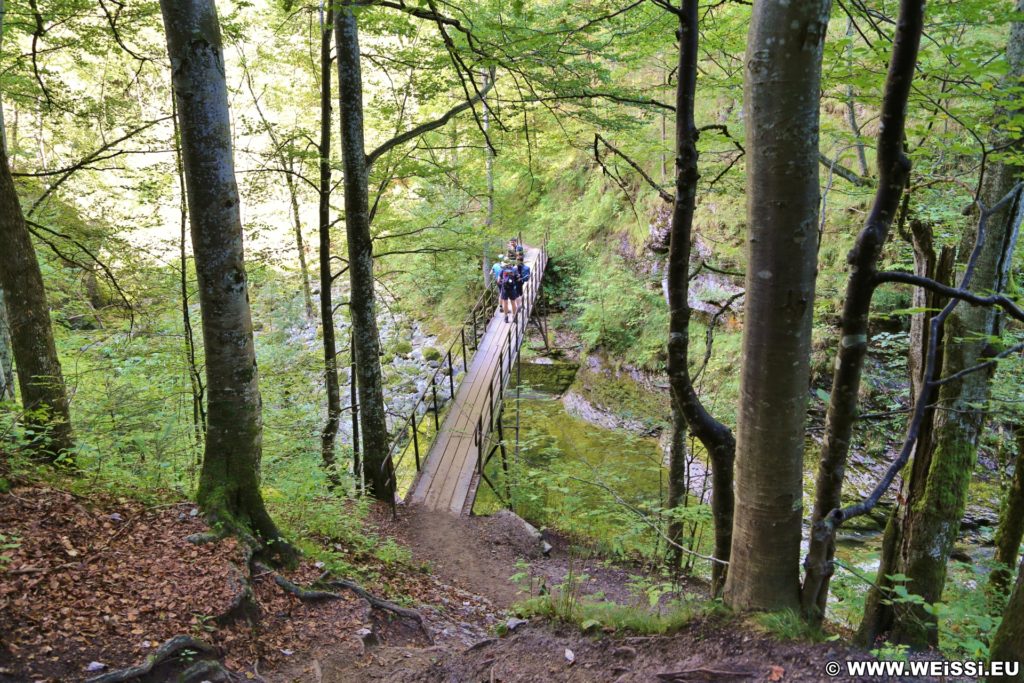 Ötschergräben - Lassingschlucht. Unweit vom Eingang in die Lassingschlucht überquert man eine kleine Brücke über den Lassingbach.. - Brücke, Bäume, Weg, Pfad, Ötschergräben, Lassingschlucht - (Wienerbruck, Langseitenrotte, Niederösterreich, Österreich)