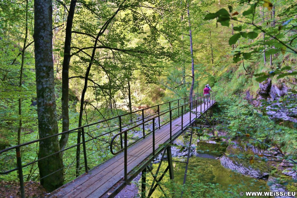 Ötschergräben - Lassingschlucht. Unweit vom Eingang in die Lassingschlucht überquert man eine kleine Brücke über den Lassingbach.. - Brücke, Bäume, Weg, Pfad, Ötschergräben, Lassingschlucht - (Wienerbruck, Langseitenrotte, Niederösterreich, Österreich)