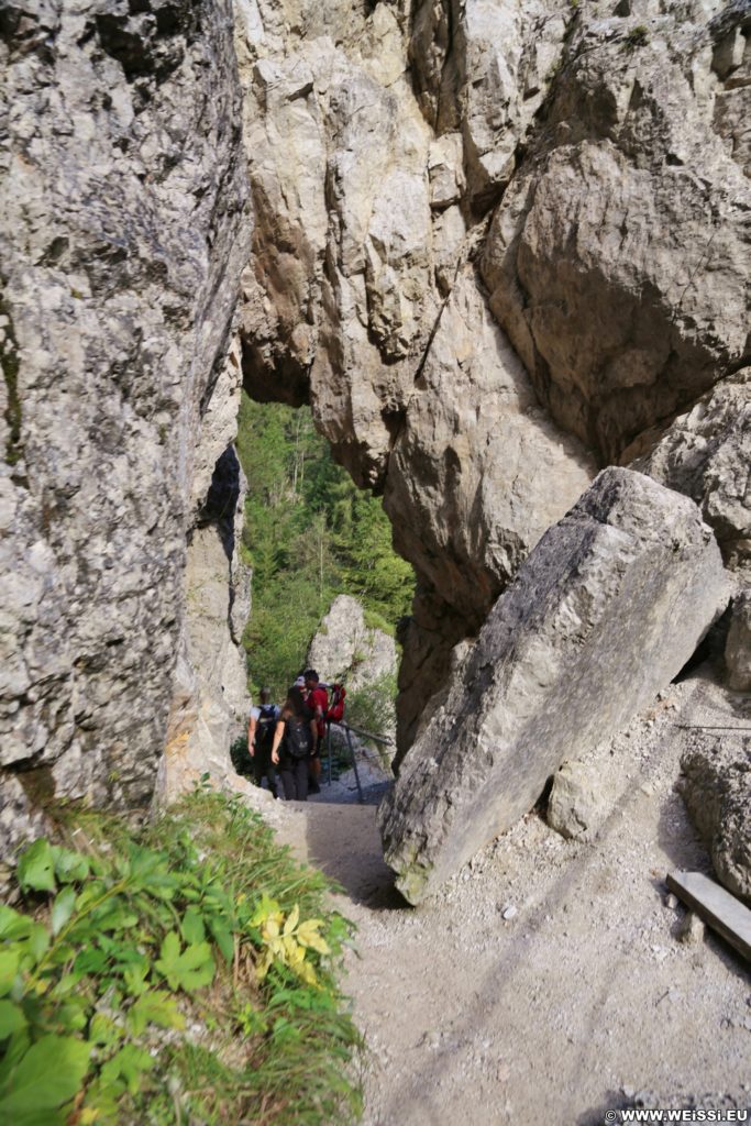 Ötschergräben - Lassingschlucht. Durch einige Felstore steigt man die Schlucht hinab zum Stierwaschboden, wo sich das Kraftwerk Wienerbruck befindet.. - Felsen, Bäume, Felsformation, Felswand, Weg, Ötschergräben, Lassingschlucht, Felstore - (Wienerbruck, Josefsrotte, Niederösterreich, Österreich)