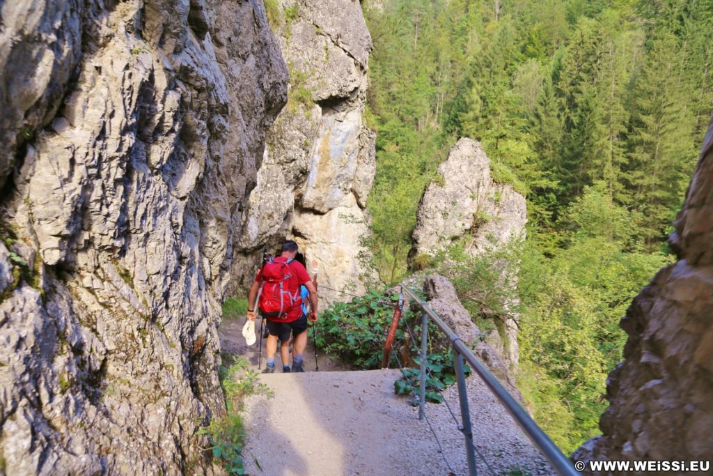 Ötschergräben - Lassingschlucht. Durch einige Felstore steigt man die Schlucht hinab zum Stierwaschboden, wo sich das Kraftwerk Wienerbruck befindet.. - Felsen, Bäume, Felsformation, Felswand, Weg, Ötschergräben, Lassingschlucht, Felstore - (Wienerbruck, Josefsrotte, Niederösterreich, Österreich)