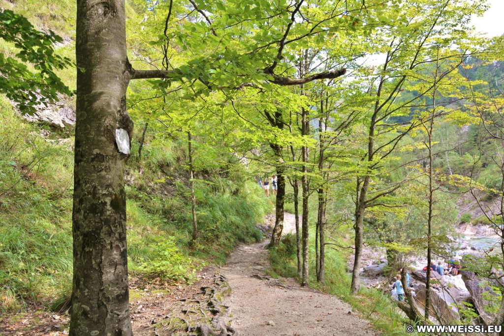 Ötschergräben - Der Grand Canyon Niederösterreichs. Bergauf der zauberhaften Landschaft und dem Ötscherbach folgend, vorbei an zahlreichen Kaskaden und Felsgebilden, erreicht man nach ca. 1,5 Stunden (4,8km) die Jausenstation Ötscherhias.. - Wasser, Bach, Ötschergräben, Vordere Ötschergräben, Ötscherbach - (Hagen, Mitterbach-Seerotte, Niederösterreich, Österreich)