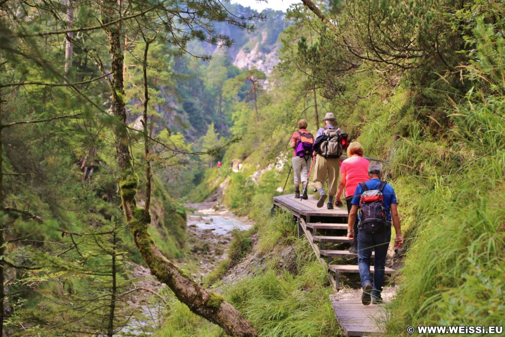 Ötschergräben - Der Grand Canyon Niederösterreichs. Bergauf der zauberhaften Landschaft und dem Ötscherbach folgend, vorbei an zahlreichen Kaskaden und Felsgebilden, erreicht man nach ca. 1,5 Stunden (4,8km) die Jausenstation Ötscherhias.. - Wasser, Bach, Ötschergräben, Vordere Ötschergräben, Ötscherbach - (Hagen, Mitterbach-Seerotte, Niederösterreich, Österreich)