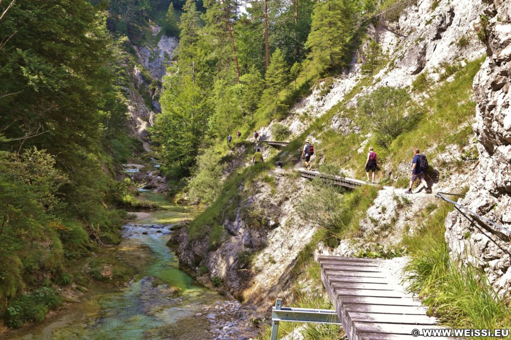 Ötschergräben - Der Grand Canyon Niederösterreichs. Am Weg durch die hinteren Ötschergräben sind die Schluchten, Felsformationen und die Landschaft fast noch eindrucksvoller!. - Felsen, Bäume, Felswand, Weg, Ötschergräben, Ötscherbach, Hintere Ötschergräben, Steig - (Hagen, Mitterbach-Seerotte, Niederösterreich, Österreich)