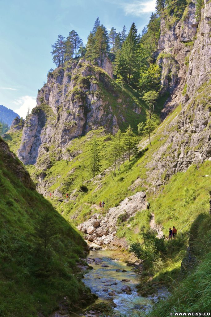 Ötschergräben - Der Grand Canyon Niederösterreichs. Am Weg durch die hinteren Ötschergräben sind die Schluchten, Felsformationen und die Landschaft fast noch eindrucksvoller!. - Felsen, Bäume, Felswand, Weg, Ötschergräben, Ötscherbach, Hintere Ötschergräben, Steig - (Hagen, Mitterbach-Seerotte, Niederösterreich, Österreich)