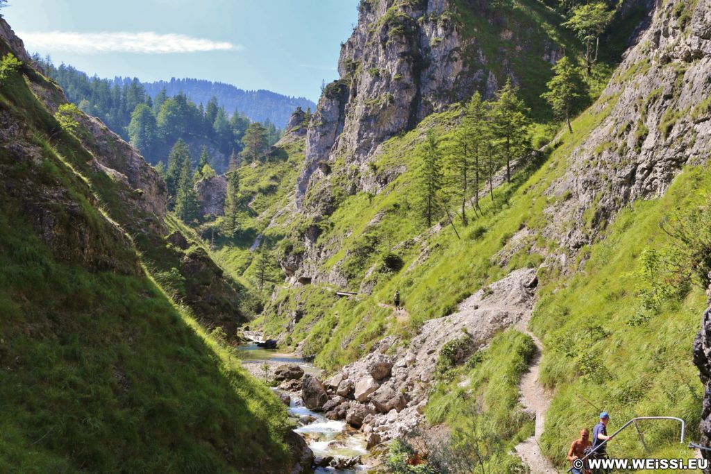 Ötschergräben - Der Grand Canyon Niederösterreichs. Am Weg durch die hinteren Ötschergräben sind die Schluchten, Felsformationen und die Landschaft fast noch eindrucksvoller!. - Felsen, Bäume, Felswand, Weg, Ötschergräben, Ötscherbach, Hintere Ötschergräben, Steig - (Hagen, Mitterbach-Seerotte, Niederösterreich, Österreich)