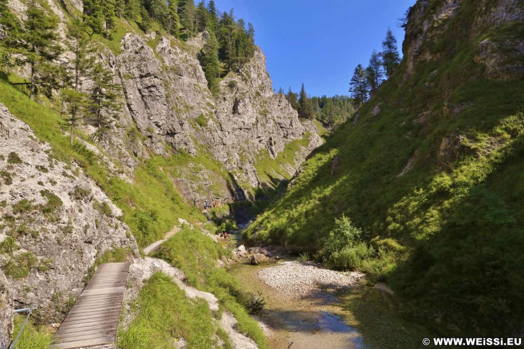 Ötschergräben - Der Grand Canyon Niederösterreichs. Am Weg durch die hinteren Ötschergräben sind die Schluchten, Felsformationen und die Landschaft fast noch eindrucksvoller!. - Felsen, Bäume, Felswand, Weg, Ötschergräben, Ötscherbach, Hintere Ötschergräben, Steig - (Hagen, Mitterbach-Seerotte, Niederösterreich, Österreich)