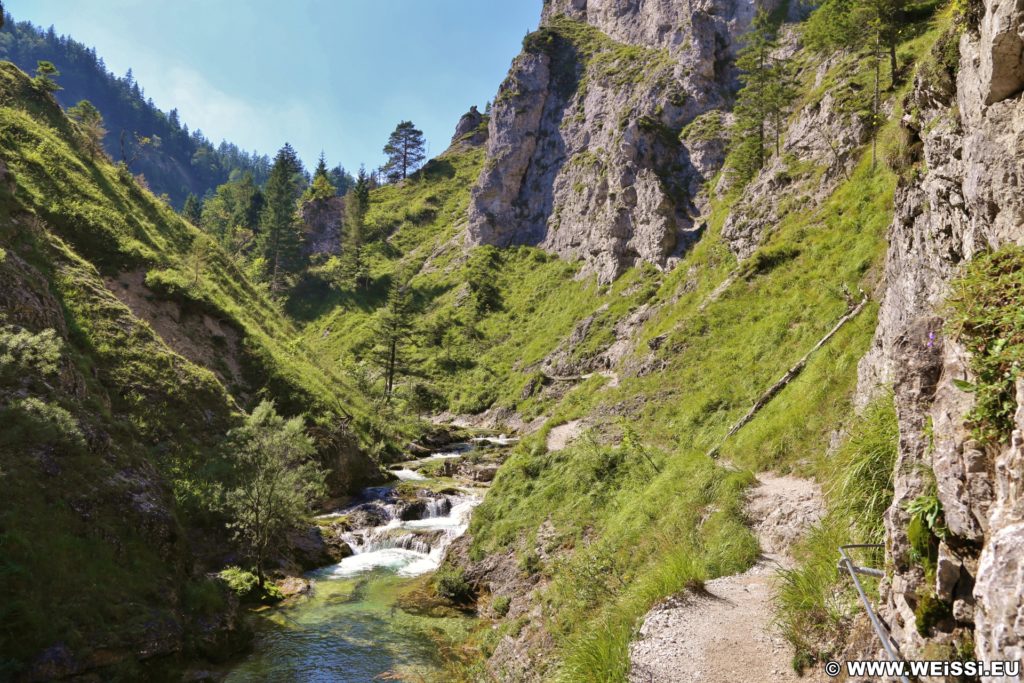 Ötschergräben - Der Grand Canyon Niederösterreichs. Am Weg durch die hinteren Ötschergräben sind die Schluchten, Felsformationen und die Landschaft fast noch eindrucksvoller!. - Felsen, Bäume, Felswand, Weg, Ötschergräben, Ötscherbach, Hintere Ötschergräben, Steig - (Hagen, Mitterbach-Seerotte, Niederösterreich, Österreich)