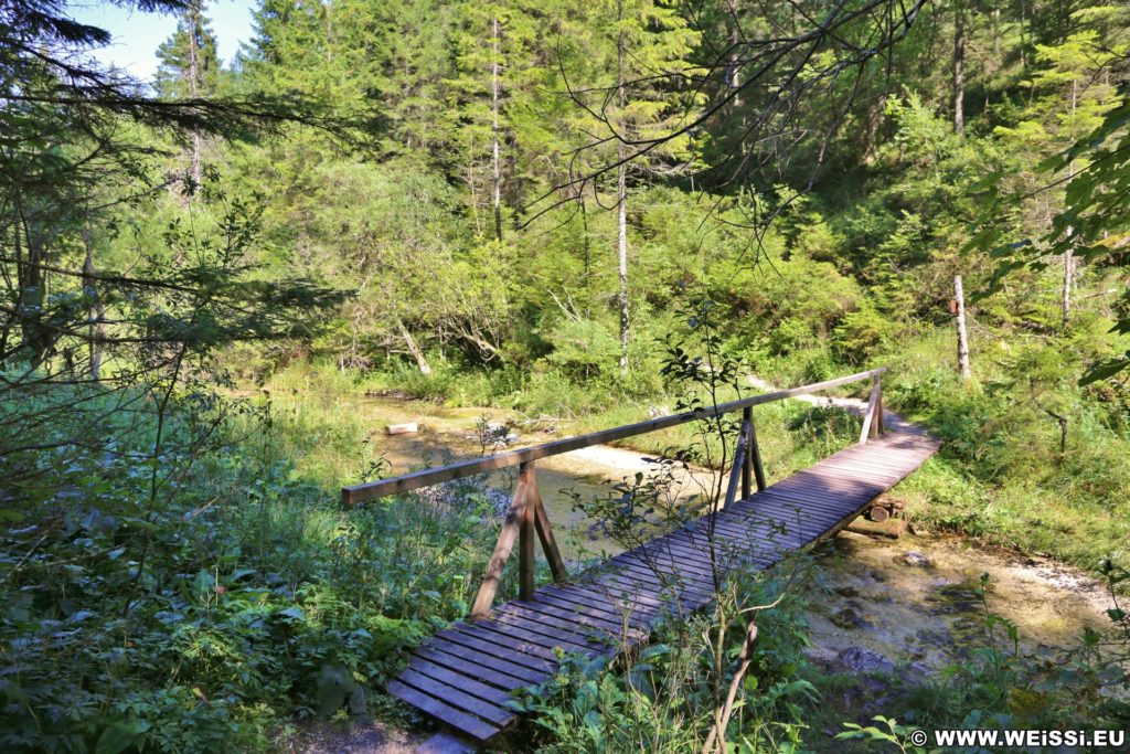 Ötschergräben - Greimelsteig. Über den Greimelsteg erreicht mand das Schutzhaus Vorderötscher.. - Brücke, Bäume, Weg, Pfad, Wasser, Bach, Ötschergräben, Hintere Ötschergräben, Greimelsteig, Greimelbach - (Hagen, Mitterbach-Seerotte, Niederösterreich, Österreich)