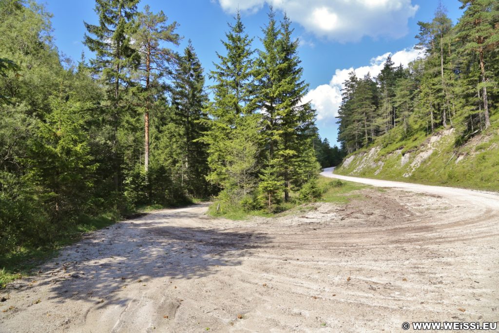 Ötschergräben - Hagengut. Entlang der Ötscherstraße/Forststraße, welche sich endlos lang dahin zieht, geht es vorbei am Hagengut über den Erlaufstausee zum Bahnhof Erlaufklause wo man die Himmelstreppe (Zug) besteigt um wieder zum Ausgangspunkt Wienerbruck zurückzukehren.. - Strasse, Bäume, Weg, Ötschergräben, Ötscherstraße, Wald - (Hagen, Mitterbach-Seerotte, Niederösterreich, Österreich)