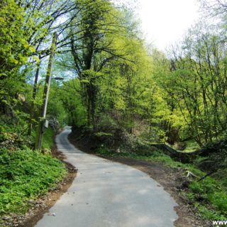 Aufstieg zur Tempelbergwarte. Über die Adolf Lorenz Gasse gelangt man zum Aufstieg auf den Tempelberg. - Weg, Pfad, Wald, Wanderung Tempelbergwarte Burg Greifenstein, Waldweg - (Altenberg, Greifenstein, Niederösterreich, Österreich)