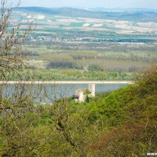 Ausblick von der Tempelbergwarte. Vom Aussichtsturm am Tempelberg bietet sich ein spektakulärer Ausblick auf das Tullnerfeld (Tullner Becken), die Burg Greifenstein, die Donau und das Kraftwerk Greifensten.. - Gebäude, Fluss, Burg, Wasser, Wanderung Tempelbergwarte Burg Greifenstein, Donau, Burg Greifenstein, Höhenburg, Ritterburg - (Altenberg, Greifenstein, Niederösterreich, Österreich)