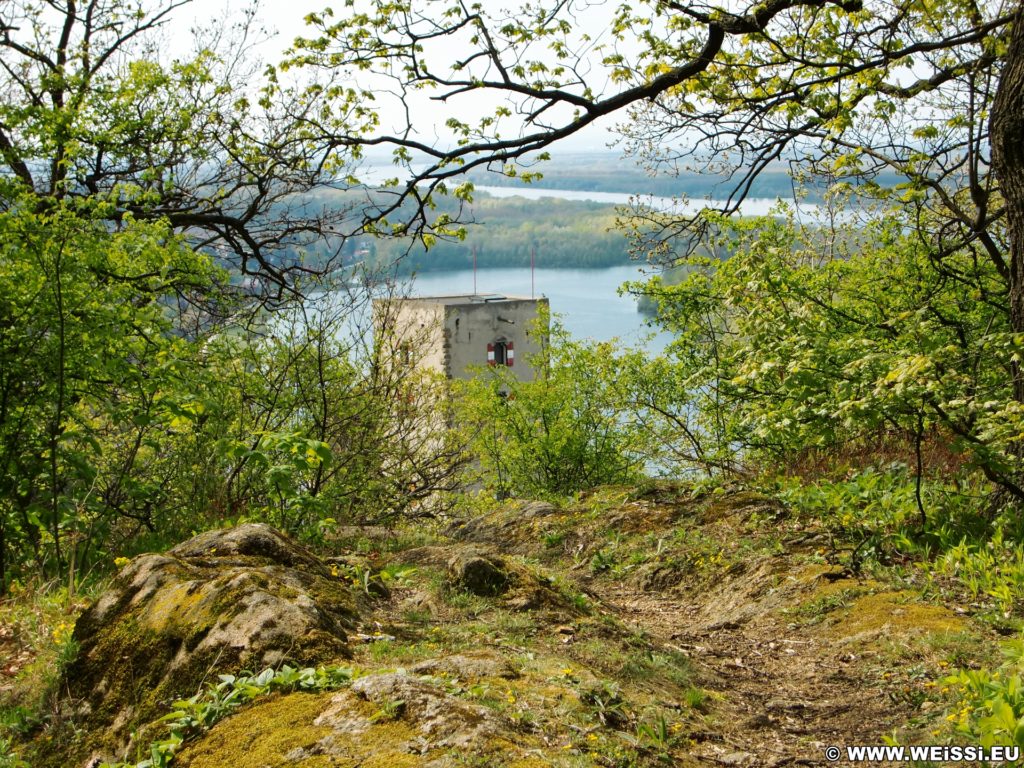 Burg Greifenstein. Die Burg Greifenstein liegt am südlichen Steilufer der Donau und diente früher der Überwachung des Donauknies bei der Wiener Pforte, dem Nordwesteingang Wiens. Die Grenze bildet der Bisamberg und Leopoldsberg.. - Gebäude, Fluss, Burg, Wasser, Wanderung Tempelbergwarte Burg Greifenstein, Donau, Burg Greifenstein, Höhenburg, Ritterburg, Donau-Altarm, Wiener Pforte - (Greifenstein, Niederösterreich, Österreich)