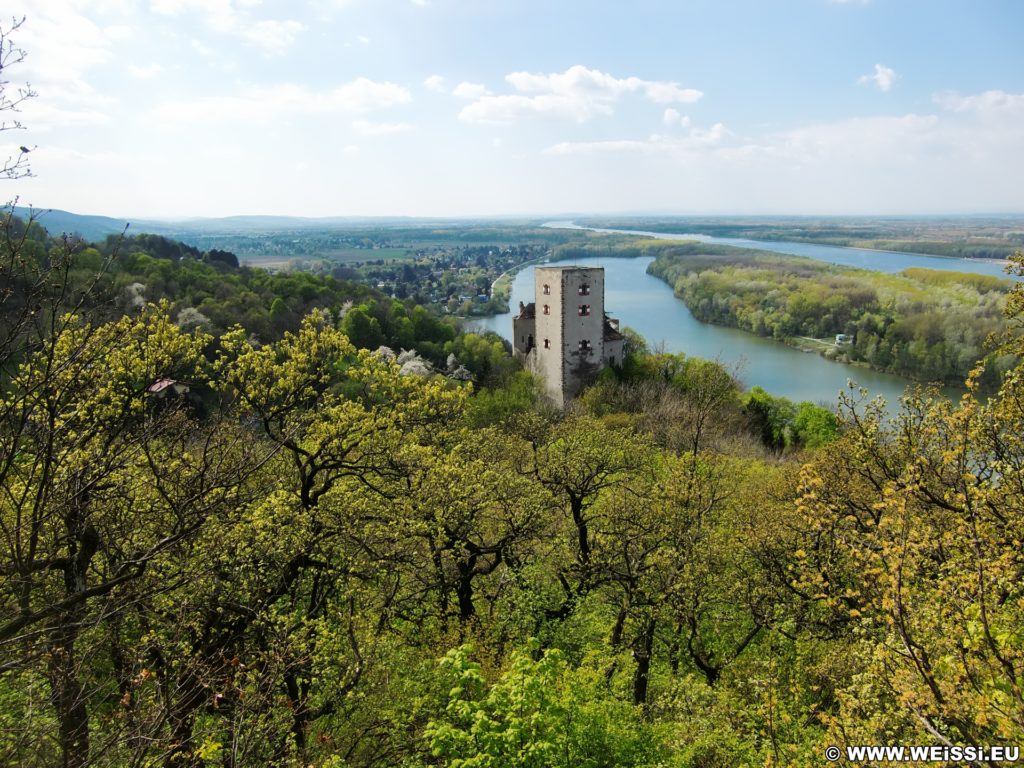 Burg Greifenstein. Die Burg Greifenstein liegt am südlichen Steilufer der Donau und diente früher der Überwachung des Donauknies bei der Wiener Pforte, dem Nordwesteingang Wiens. Die Grenze bildet der Bisamberg und Leopoldsberg.. - Gebäude, Fluss, Burg, Wasser, Wanderung Tempelbergwarte Burg Greifenstein, Donau, Burg Greifenstein, Höhenburg, Ritterburg, Donau-Altarm, Wiener Pforte - (Greifenstein, Niederösterreich, Österreich)