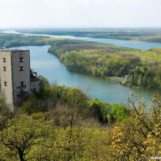 Burg Greifenstein. Die Burg Greifenstein liegt am südlichen Steilufer der Donau und diente früher der Überwachung des Donauknies bei der Wiener Pforte, dem Nordwesteingang Wiens. Die Grenze bildet der Bisamberg und Leopoldsberg.. - Gebäude, Fluss, Burg, Wasser, Wanderung Tempelbergwarte Burg Greifenstein, Donau, Burg Greifenstein, Höhenburg, Ritterburg, Donau-Altarm, Wiener Pforte - (Greifenstein, Niederösterreich, Österreich)