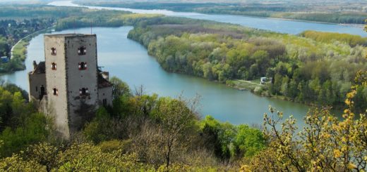 Burg Greifenstein. Die Burg Greifenstein liegt am südlichen Steilufer der Donau und diente früher der Überwachung des Donauknies bei der Wiener Pforte, dem Nordwesteingang Wiens. Die Grenze bildet der Bisamberg und Leopoldsberg.. - Gebäude, Fluss, Burg, Wasser, Wanderung Tempelbergwarte Burg Greifenstein, Donau, Burg Greifenstein, Höhenburg, Ritterburg, Donau-Altarm, Wiener Pforte - (Greifenstein, Niederösterreich, Österreich)