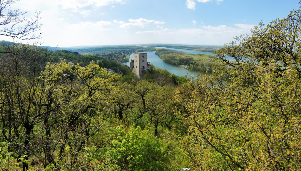 Burg Greifenstein. Die Burg Greifenstein liegt am südlichen Steilufer der Donau und diente früher der Überwachung des Donauknies bei der Wiener Pforte, dem Nordwesteingang Wiens. Die Grenze bildet der Bisamberg und Leopoldsberg.. - Gebäude, Fluss, Burg, Wasser, Wanderung Tempelbergwarte Burg Greifenstein, Donau, Burg Greifenstein, Höhenburg, Ritterburg, Donau-Altarm, Wiener Pforte - (Greifenstein, Niederösterreich, Österreich)