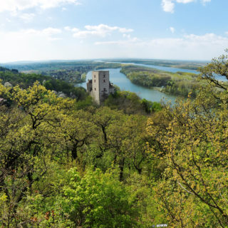 Burg Greifenstein. Die Burg Greifenstein liegt am südlichen Steilufer der Donau und diente früher der Überwachung des Donauknies bei der Wiener Pforte, dem Nordwesteingang Wiens. Die Grenze bildet der Bisamberg und Leopoldsberg.. - Gebäude, Fluss, Burg, Wasser, Wanderung Tempelbergwarte Burg Greifenstein, Donau, Burg Greifenstein, Höhenburg, Ritterburg, Donau-Altarm, Wiener Pforte - (Greifenstein, Niederösterreich, Österreich)