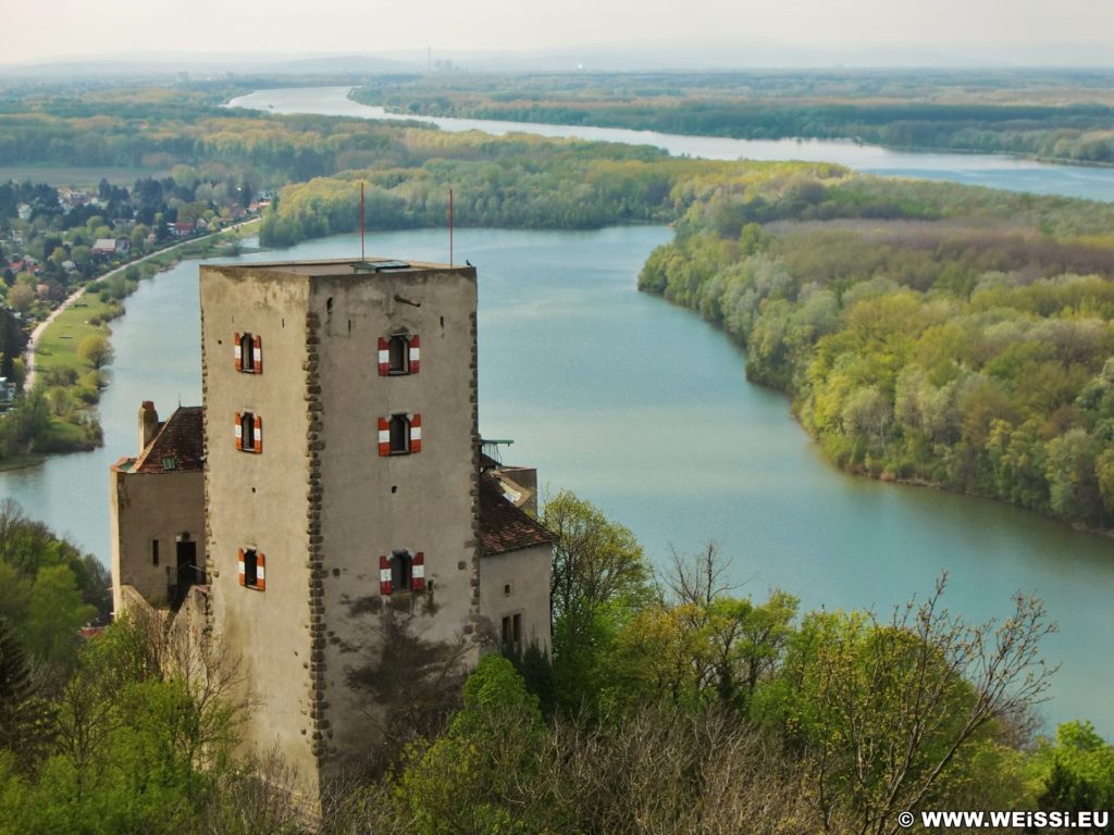 Burg Greifenstein. Die Burg Greifenstein liegt am südlichen Steilufer der Donau und diente früher der Überwachung des Donauknies bei der Wiener Pforte, dem Nordwesteingang Wiens. Die Grenze bildet der Bisamberg und Leopoldsberg.. - Gebäude, Fluss, Burg, Wasser, Wanderung Tempelbergwarte Burg Greifenstein, Donau, Burg Greifenstein, Höhenburg, Ritterburg, Donau-Altarm, Wiener Pforte - (Greifenstein, Niederösterreich, Österreich)